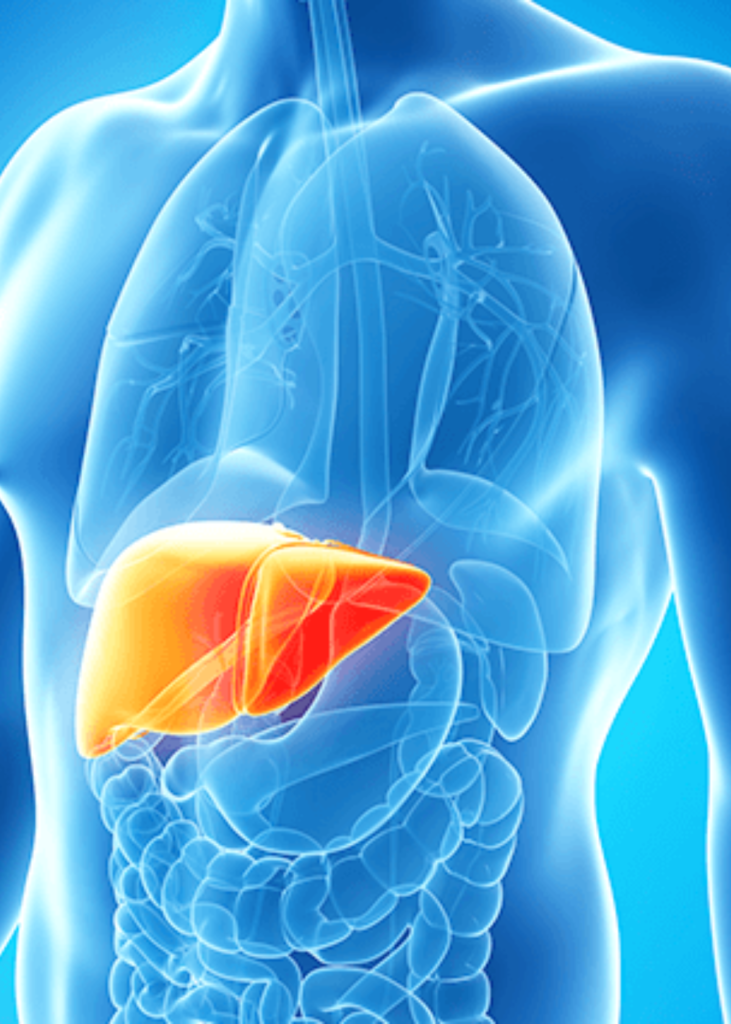 Liver Disease